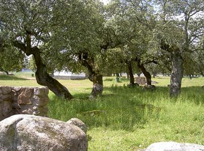 Imagen Dehesa Boyal - Recinto de la Roméria