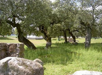 Imagen Dehesa Boyal - Recinto de la Roméria